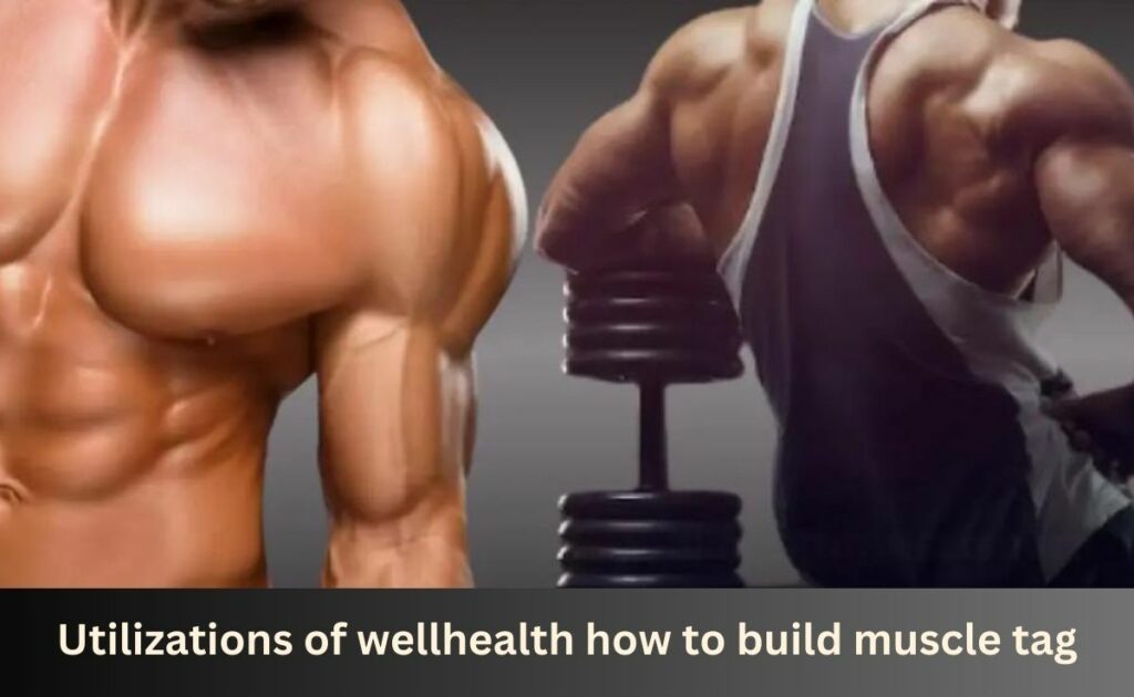 wellhealth how to build muscle tag
